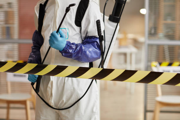 Professional Sewage Cleanup technician working in Selma, NC